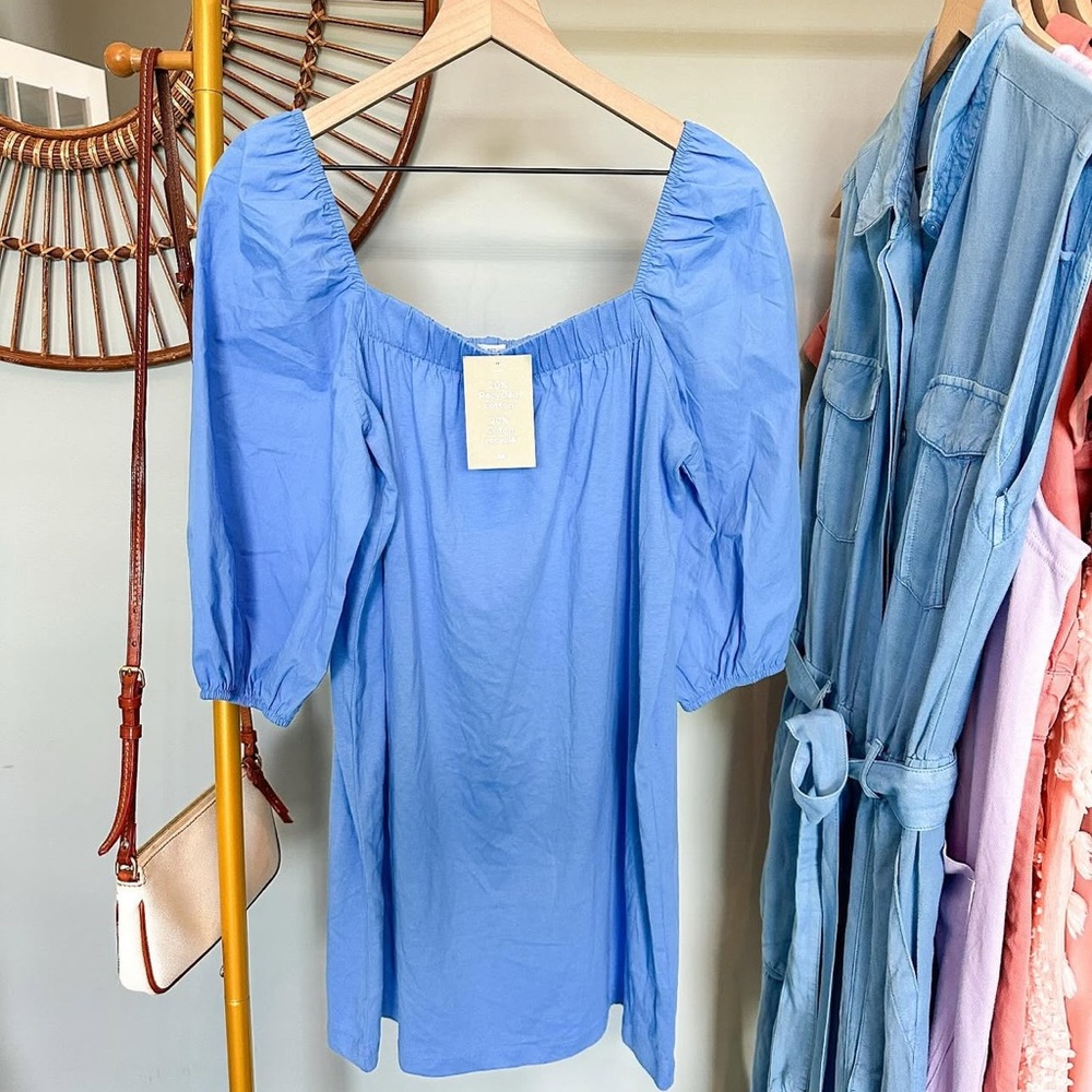 Blue Puff Sleeve Dress - NWT